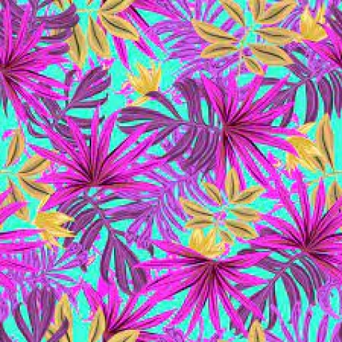 Gambar Card Pengetahuan Brights